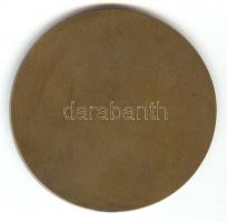 Ausztria ~1910. "Károly-templom Bécs" Br emlékérem (55mm) szign.: R.Neuberger T:2
Austria ...