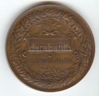 1885. S.Schwartz Feg.: "Országos Átalános Kiállítás Budapesten / Az Érdem Jeléül" Br emlék...