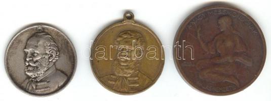 1860. "Széchenyi István" Ag emlékérem (7g/23mm) + Berán Lajos: 1925. "Jókai Mór"...