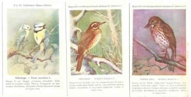 6 db Madár motívumlap