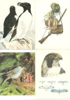 51 db használatlan madár motívumlap