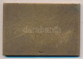 Stetka Gyula - G. Gácsik Lajos: ~1910. "Weiss Manfred Tisztviselői Kaszinó Sportcsoportja"...