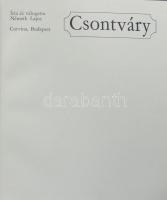 Németh Lajos: Csontváry képes album, Corvina Kiadó, Bp., 1974., fekete-fehér és színes képekkel illu...