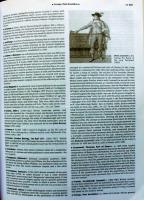 The Macmillan Encyclopedia 2002: The Most Up-To-Date One-Volume Encyclopedia 
House B Market (szerke...