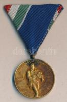 1954. "Árvízvédelemért Emlékérem - Dunai Árvízvédelemért" aranyozott Br kitüntetés, szalaggal T:2-