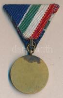 1954. "Árvízvédelemért Emlékérem - Dunai Árvízvédelemért" aranyozott Br kitüntetés, szalag...