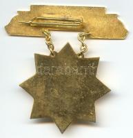 ~1965. "Mezőgazdaság Kiváló Dolgozója" kitüntetés T:2