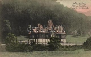 Mürzsteg, Jagdschloss / hunting castle (wet damage)