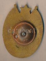 ~1970. "Kiváló Határőr" zománcozott kitüntetés T:2