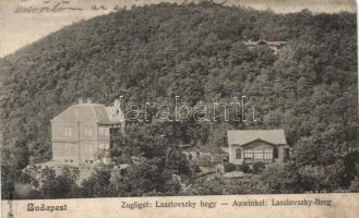 Budapest XII. Zugliget Laszlovszky hegy (EK)