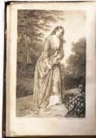 Reichenbach, A. G.: Botanik für Damen oder allgemeine und besondere Pflanzenkunde anschaulich, leich...