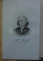 Liszt Ferenc levelei báró Augusz Antalhoz 1846-78, kiadta Csapó Vilmos. Bp., 1911. Franklin. Későbbi...