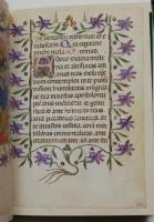 Das Gebetbuch des Michelino da Besozzo. im Besitz der Pierpont Morgan Library New York. Eingeleitet ...