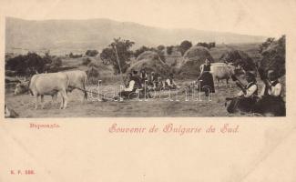 Bulgarian peasant folklore