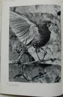 Művészfotók 1957 Escher Károly, Gink Károly, Zinner Erzsébet, Kálmán Béla … fotóival. Buda...