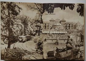 Hol pihenjünk? Magyarország üdülő, pihenő és kiránduló helyei. Bp., é.n. Forrás Nyomda. 238 p. + 16 ...