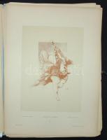 Martin Gerlach (1846-1918): Karten und Vignetten 59 lapon több képpel, mappában 44x34 cm