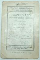 1920 Felvonó kezelő fényképes igazolványa. Andrássy út 1. sz ház felvonójára