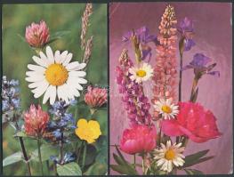 kb. 125 db modern virágos üdvözlőlap