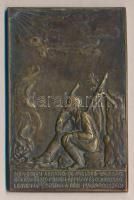 Szitányi Gábor (1884-1970) 1927. Irredenta Br plakett az 1929. Monori járás leventeversenyére adományozva (80x94mm) T:2