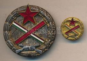 1954. "Magyar Partizán Emlékérem" 68 - Fegyverrel a hazáért sorszámmal és felirattal a hátoldalán, miniatűrrel! T:2