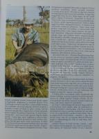 2 db vadászati könyv:Széchényi Zsigmond: Vadászat négy földrészen 1927-1964.  Corvina Bp. 1987. Huno...