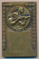 1932.IX.25. "Corvin Polg. Löv. Egy." bronz plakett eredeti adományozói tokban (67x42mm) T:2,2-