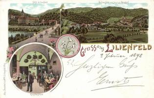 1898 Lilienfeld litho