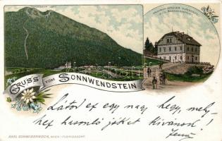 Sonnwendstein Friedrich Schüler alpine house litho