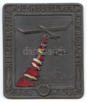 1956. május "Nemzetközi Repülőmodell Verseny - Budapest" Magyar Önkéntes Honvédelmi Szövetség (MÖHOSZ) zománcozott fém plakett adományozói dísztokban (73x86mm) T:2