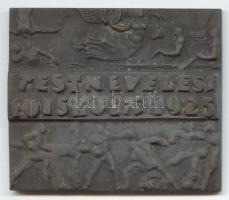 1925. "Testnevelési Főiskola" fém plakett adományozói dísztokban. Szign.: J.I. (69x59mm) T:2