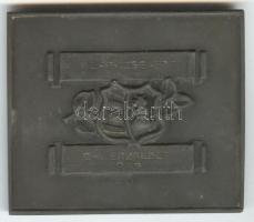 1925. "Testnevelési Főiskola" fém plakett adományozói dísztokban. Szign.: J.I. (69x59mm) T...