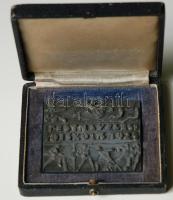 1925. "Testnevelési Főiskola" fém plakett adományozói dísztokban. Szign.: J.I. (69x59mm) T...