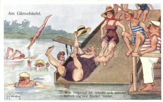 Gänsehäufel spa, humour s: Schönpflug