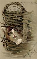 Cat Emb. litho