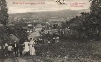 Zálnok gyógyfürdő