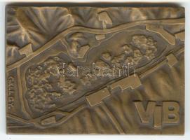 Gáll Gyula (1939-) DN. "VIB" (Velence-tavi Intéző Bizottság) Br plakett (80x58mm) T:1-