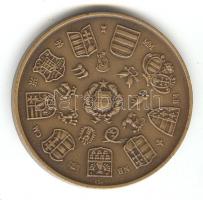 Csúcs Viktória (1934-) 1979. "MÉE - Szent István dénár" Br emlékérem (d=42mm) T:1-