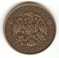 Tóth Sándor (1933-) DN. "MÉE Szabolcs-Szatmár-Bereg Megye / Tas Vezér" Br emlékérem (d=42mm) T:1-