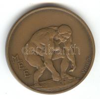 Vígh Tamás (1926-) 1990. "MÉE / Száz éve született Ferenczy Béni" Br emlékérem (d=42mm) T:...