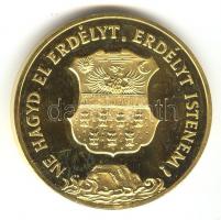 1989. "Temesvár - Erdély" aranyozott emlékérem (d=42mm) T:PP