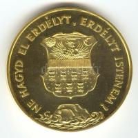 1989. "Temesvár - Erdély" aranyozott piefort emlékérem (d=65mm) T:PP