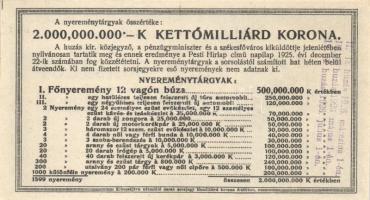 1925. "Diák sorsjegy" VIII. sorozat 5000K T:I-