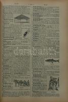 Kis Larousse lexikon kb 6000 metszettel, fényképekkel és térképpel, Illusztrált egészvászon kötésben...