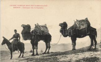 Smyrna camels, folklore