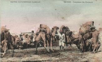 Smyrna camels, folklore