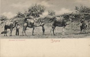Smyrna camels, folklore