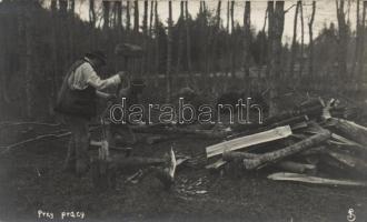 Poland, lumberjack at work