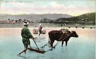 Japanese preparing ricefield, folklore