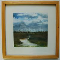 2001 Trifán László (1955): Eső után, üvegezett festmény fa keretben akvarell farost, 16x16cm